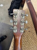 IMG_6345.jpeg