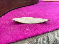 IMG_0203.jpeg