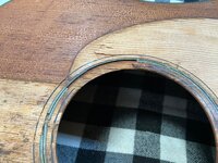 IMG_0247.jpeg