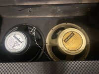 IMG_7252.jpeg