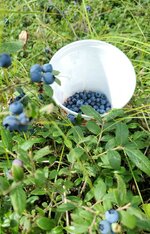 IMG_20260809_140049.jpg