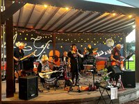 Amber & the Antidotes full band by Penta Rose Aug 12 2026.jpg