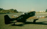 P-51 (Large).jpg