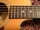 Taylor_Fretboard.jpg
