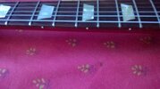 WP_20180511_002.jpg