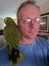 parrot.jpg