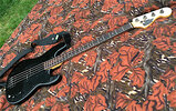 Raven whole bass 17@100.jpg