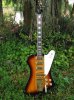 firechicken4.jpg