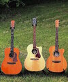 Three Acoustics.jpg