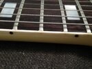 76 SG Frets.jpg