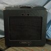 Peavey Delta Blues (1).JPG