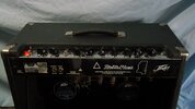 Peavey Delta Blues (7).JPG