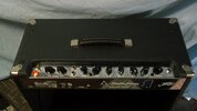 Peavey Delta Blues (8).JPG