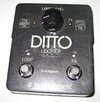 ditto 001.JPG