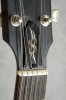 Truss Rod Cover 6@100.jpg