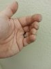 20170124_223925.jpg