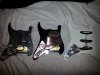 Three Pickguards.jpg