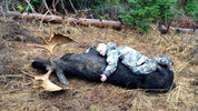 Kayden-hugging-the-Wyoming-bull-moose.jpg