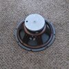 Speaker Pics (3).jpg