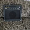 Kalamazoo Reverb 12 (1).JPG