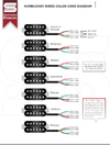 Humbucker Wires Color Code Diagram.png