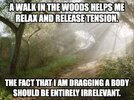 walk in the woods.jpg