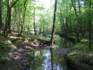 River-Hills-Farm-24-stream-in-woods.jpg River-Hills-Farm-24-stream-in-woods.jpg