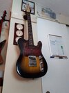 peavey tele wall.jpg