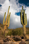 phoenix-mountains4132.jpg