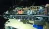 Robben Ford's famous _102 Non HRM.jpg