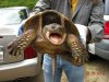 snapper!.jpg