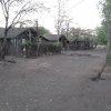 20190403_054236.jpg