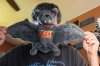 OZZY PLUSH BAT (1).JPG