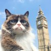 Grumpy-Cat-in-London.jpg