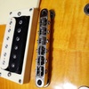 Gotoh Bridge Starter Notches.jpg