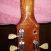Headstock Rear.jpg