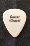 GW_Guitar_Pick-2_2.jpg