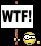 WTF.JPG