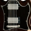 SGAYVACCH1-Features-Pickguard-jpg.jpeg