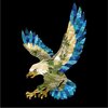 tmp_10620-L-americaneagle_2048x20481838079647.jpg