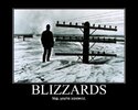 Blizzards 1.jpg