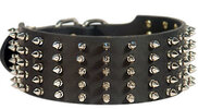 3-inch-leather-spiked-dog-collar-Rottweiler-dog_LRG.jpg