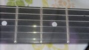 20170408_105057.jpeg