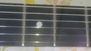 20170408_105259.jpeg