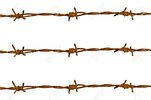 rusty-barbed-wire-isolated-on-white.jpg