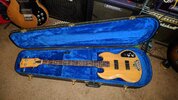 bass g1.jpg