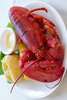 fresh-live-lobster-9.jpg