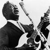 muddy waters SG.jpg