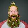 01-beard-december.jpg