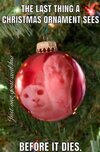 XMAS.JPG